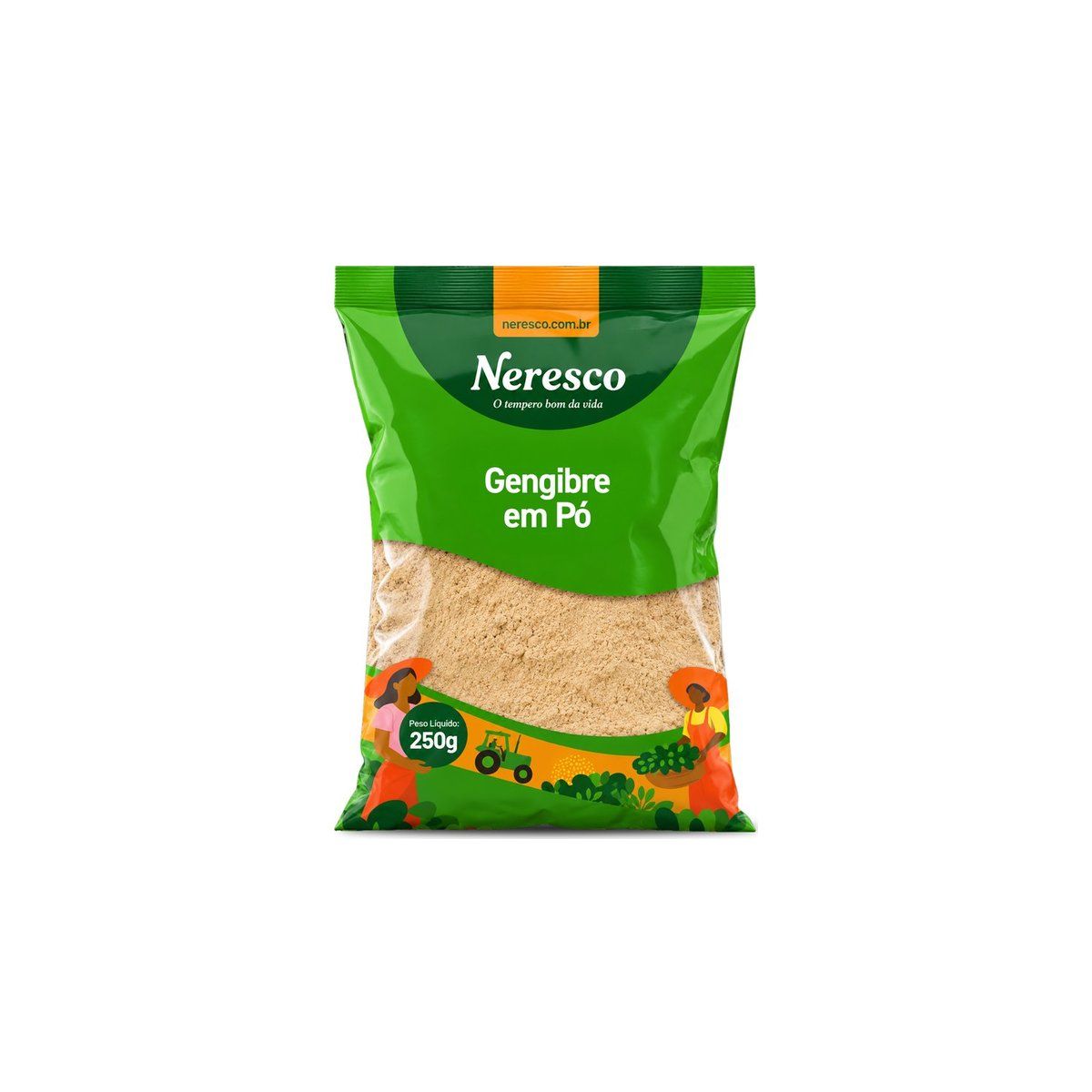 GENGIBRE PO 250G SACO